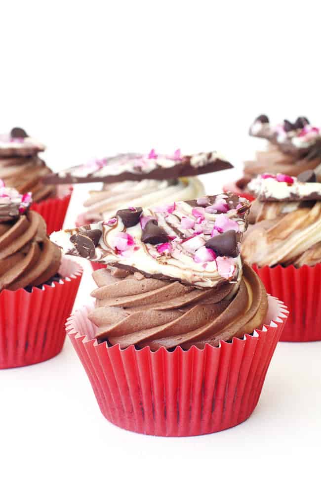Peppermint Bark Chocolate Cupcakes