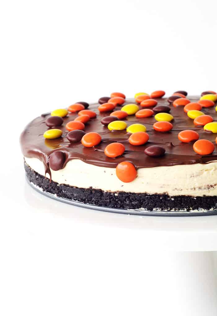 No Bake Reeses Pieces Peanut Butter Cheesecake