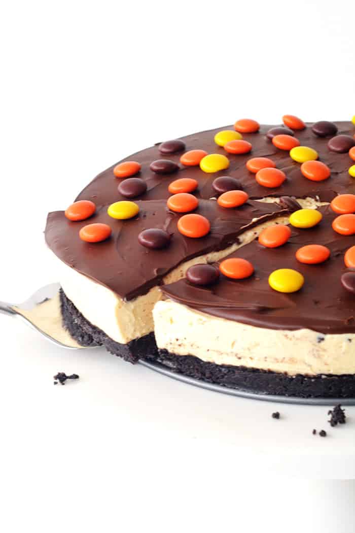 No Bake Reeses Pieces Peanut Butter Cheesecake